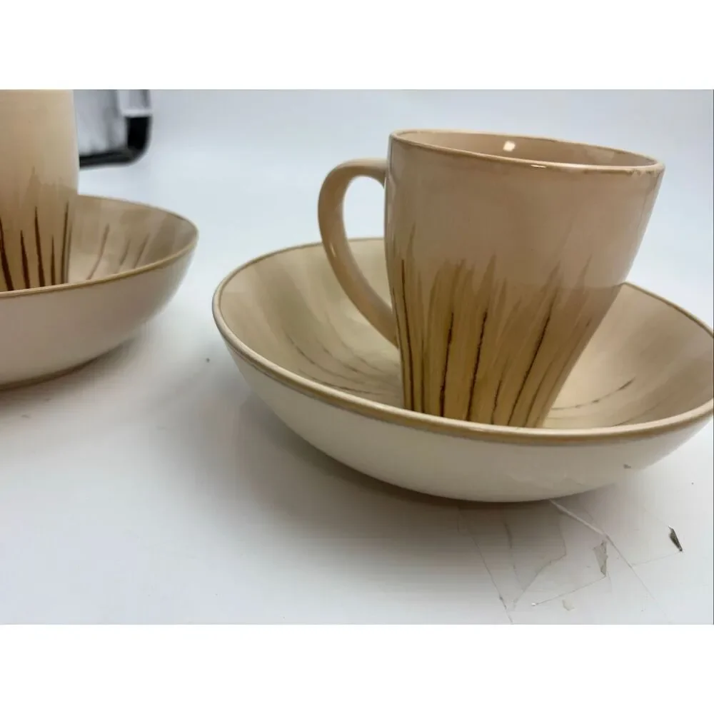 Pier 1 Sanctuary Stoneware Latte Mug & Soup/Pasta Bowl Set of 2 Place Settings
